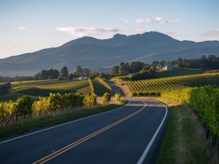 La route des vins de l’Atlantique : un voyage œnologique entre Portugal, Espagne et France.