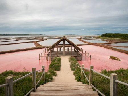 Le Jardin des Marais Salants : À la Découverte d'un Artisanat Unique en Bretagne.