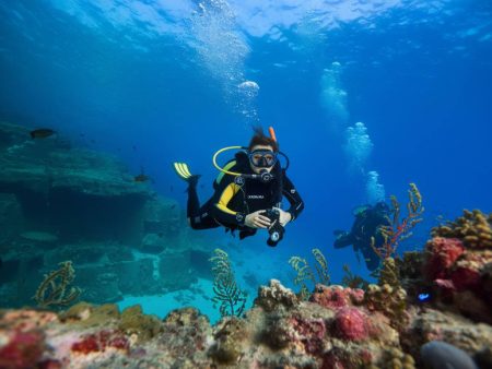 Voyage plongée Madère : les meilleurs spots pour explorer les fonds marins