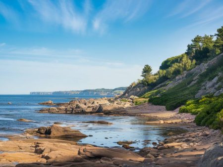 "Les meilleurs sentiers côtiers de Vendée : randonnées entre terre et mer"